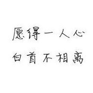 1542136 So、