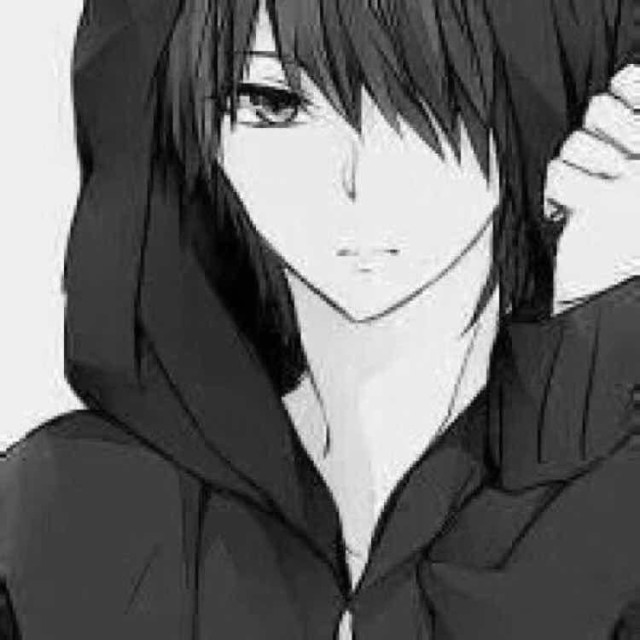 1542387 Elvin