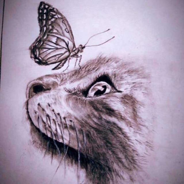 1543173 聊博一笑