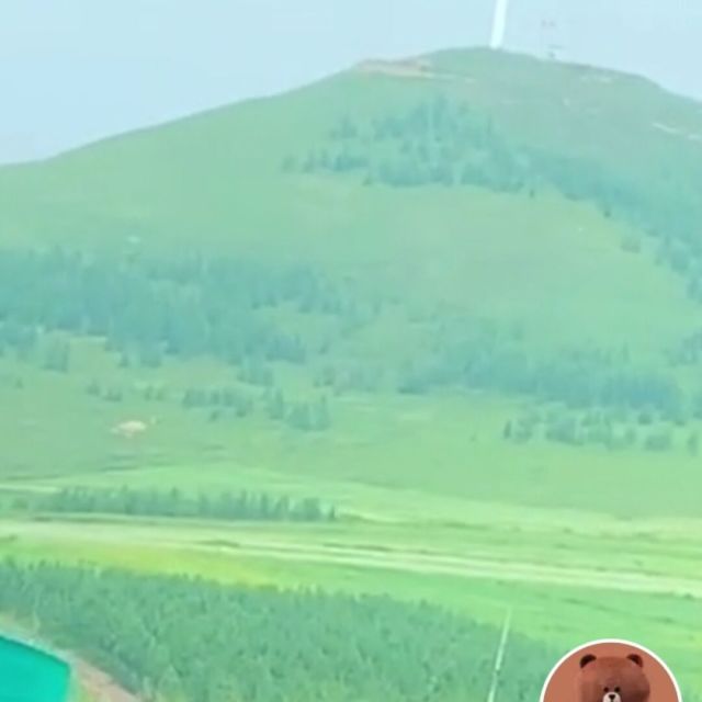 1543662 黑哥