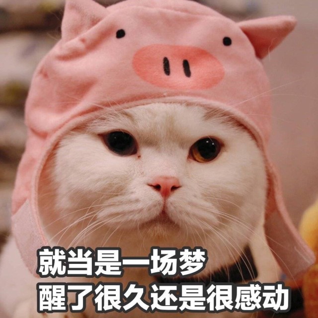 1545980 ∨