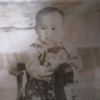 1546255 吴心问柳