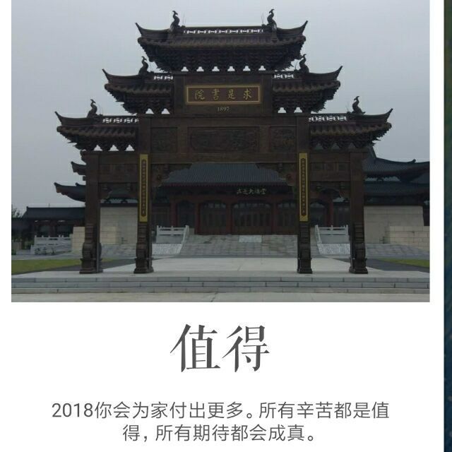 1546528 东海之鹰