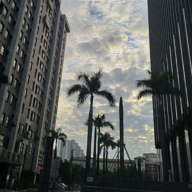 1546601 新年