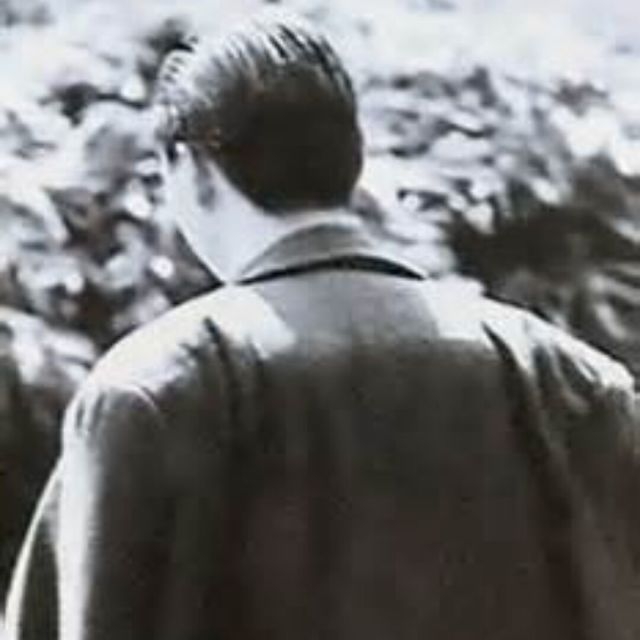 1546882 断肠草