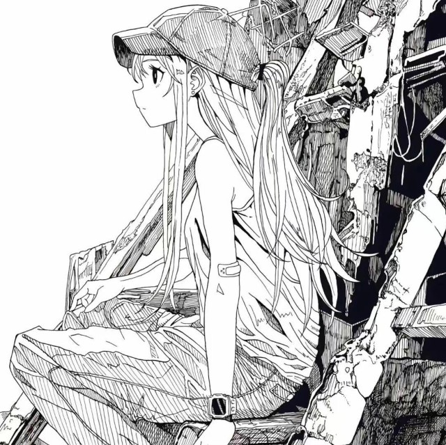 154713 海盗旗