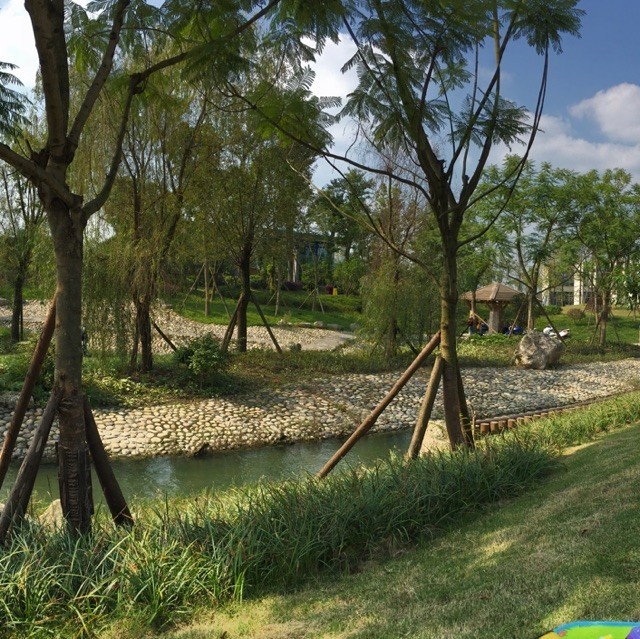 1547581 静水深流