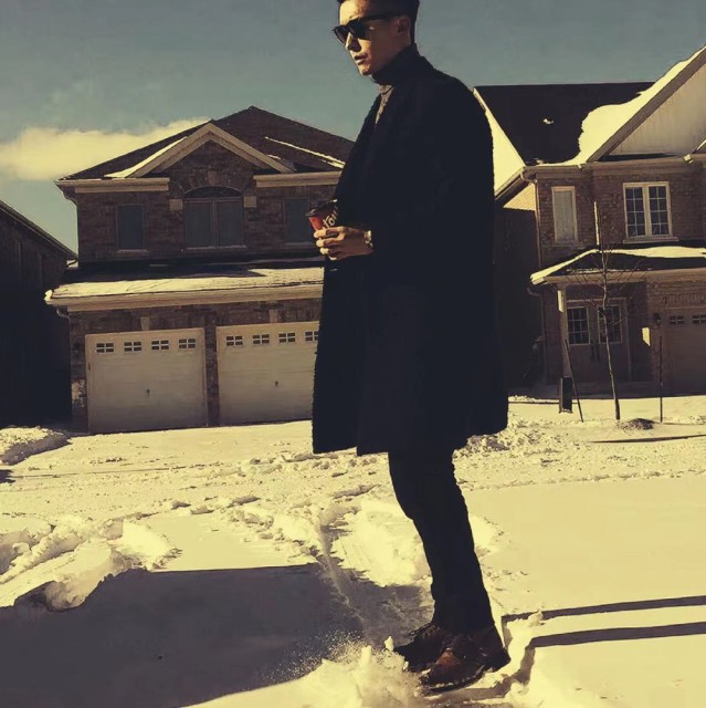 154775 ╋━Alvin