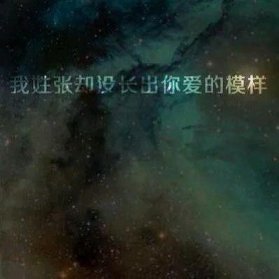 1548128 张先森。