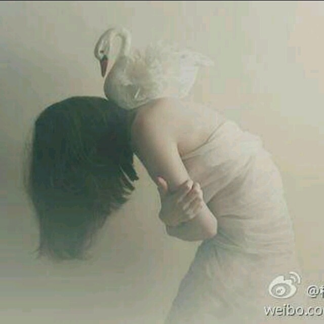 1548324 白白