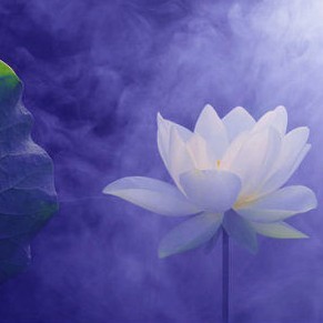 1548396 青花瓷