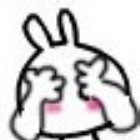 1548473 Haio