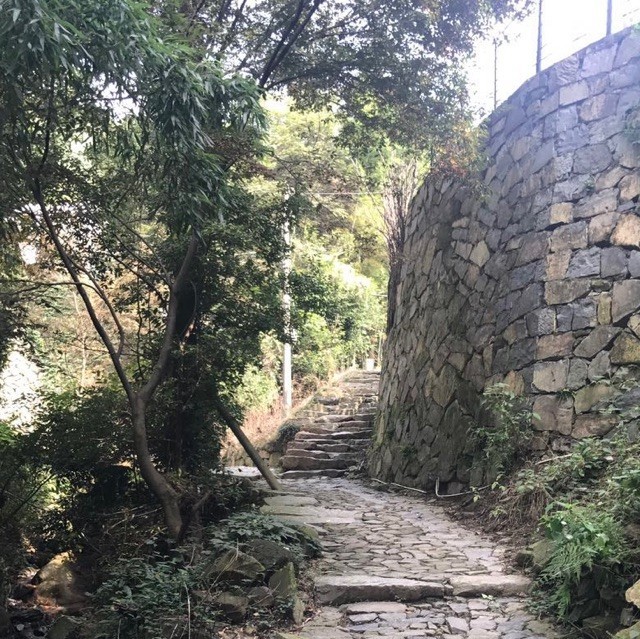 1548495 文刀/mg三丁