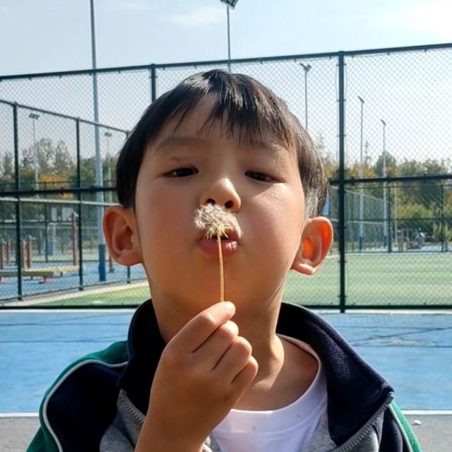 1548757 香川依旧