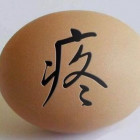 1550400 寒羽