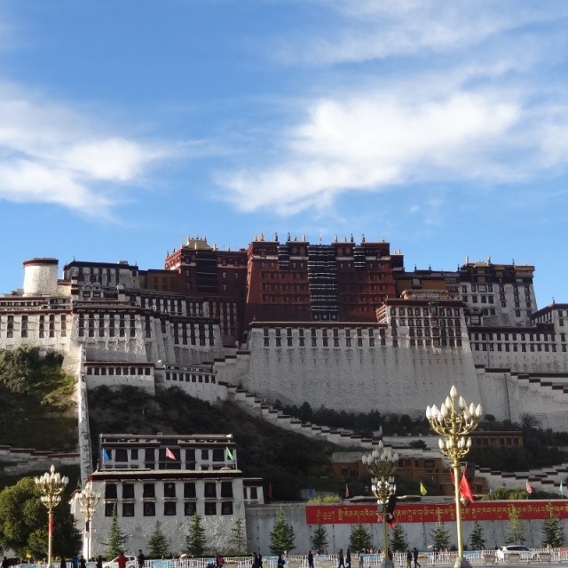 1550819 悠哉游哉