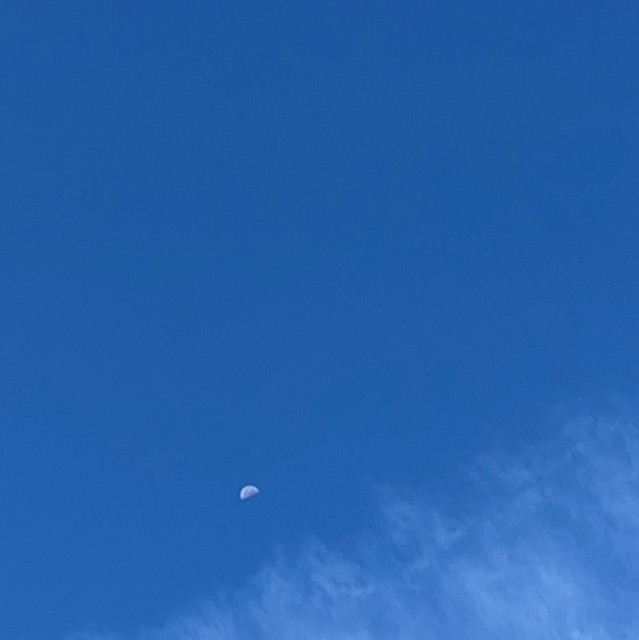 1551133 lll十三月lll