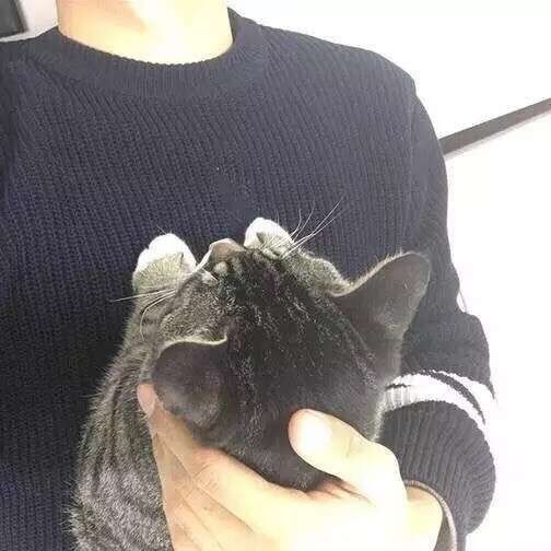 1551364 遇见你