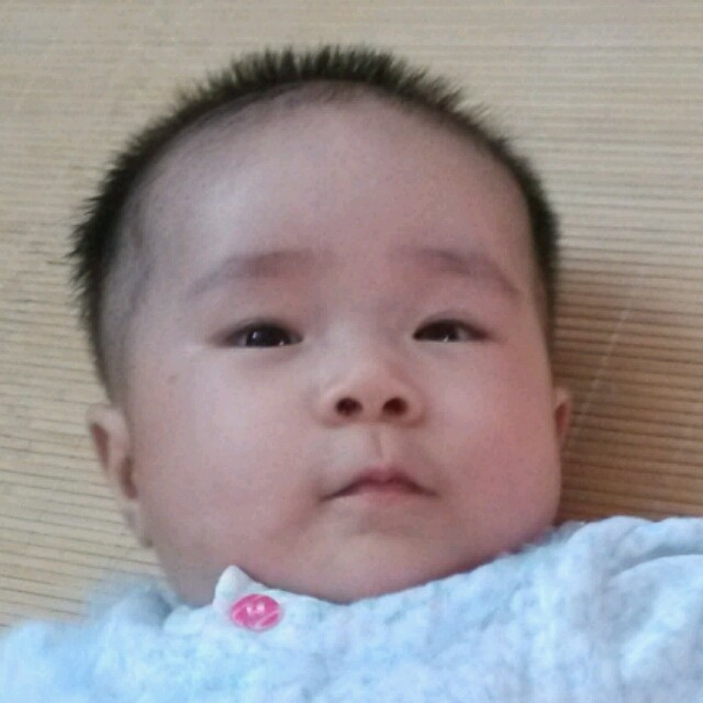 1551502 ぁ小东ぁ