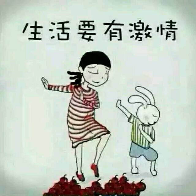 1552447 律政