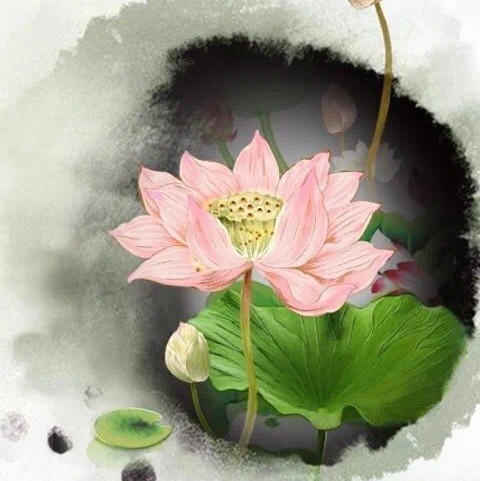 155258 宋芳