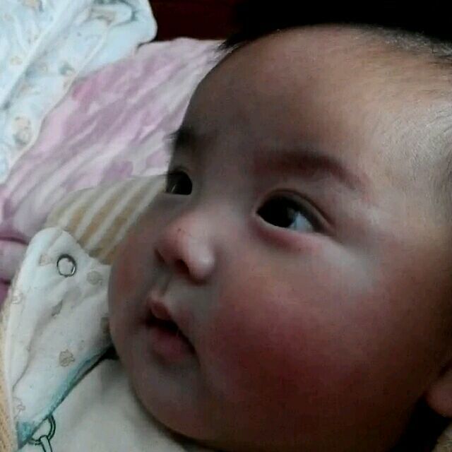 1552867 茗子