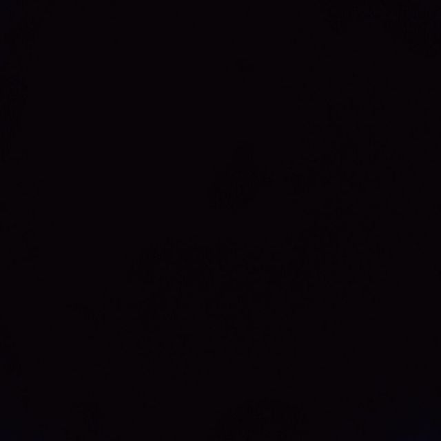 1553207 阿利
