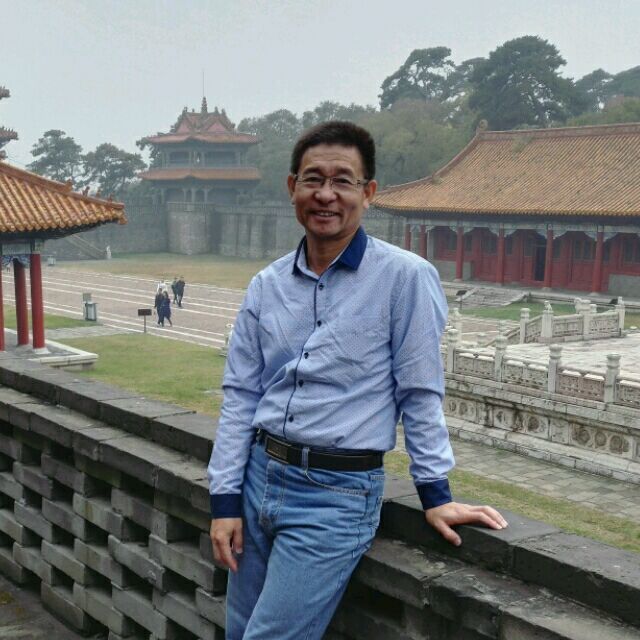 1553568 金花王子