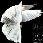 1553715 adagio