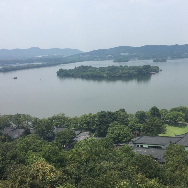 155462 中联电子