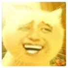 1554632 GRR
