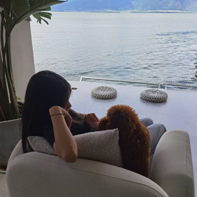 155477 飘零