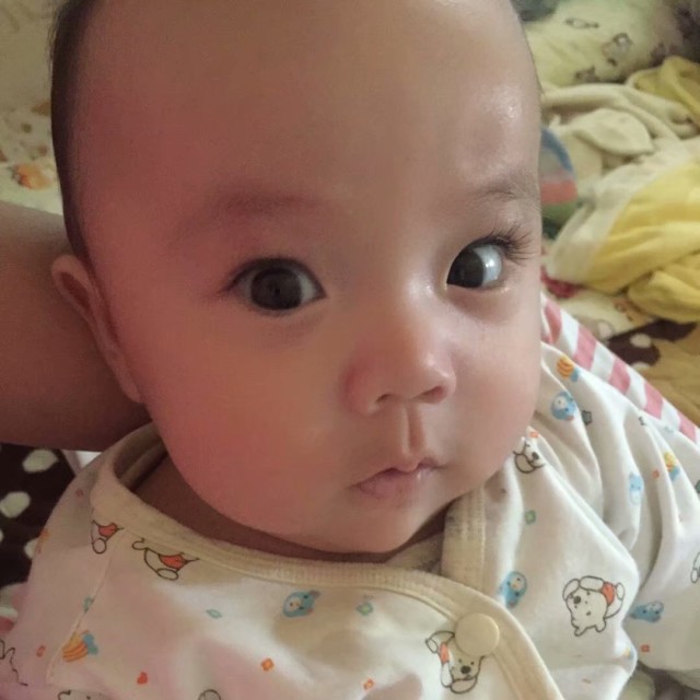 1555152 Xˊ.仅茈侕乙‖.丶!