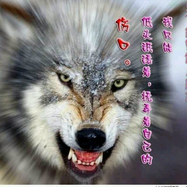 1555617 迷恋♛
