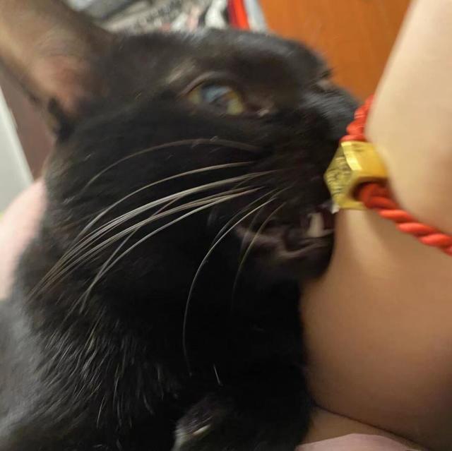 1555929 锶姐姐’