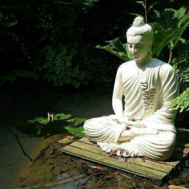 1556607 凯辉玩具
