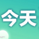 1556878 天天向上