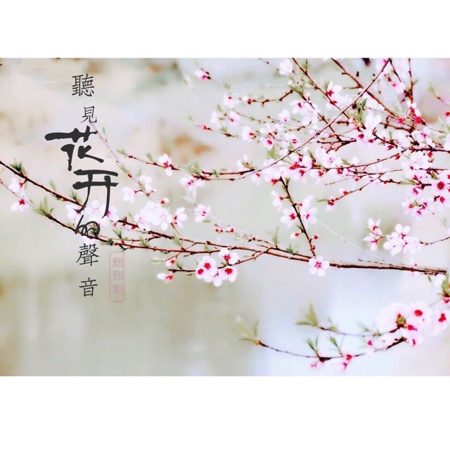 1557057 天月弯弯