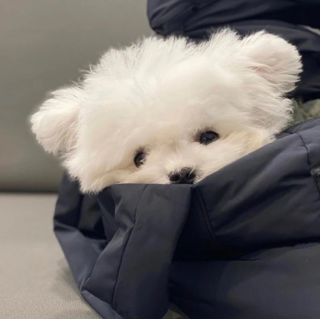 1557638 可苦可乐
