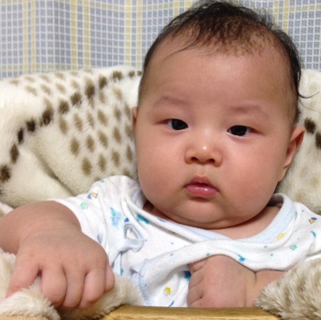 1559553 ゞfield