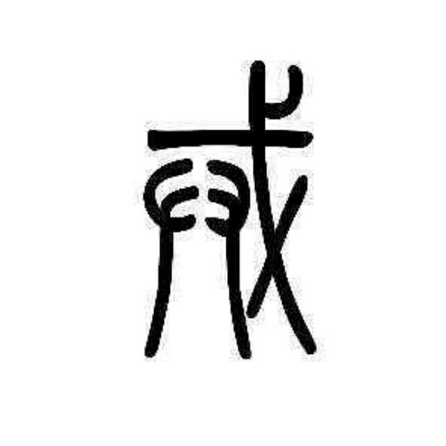 1559770 雷子