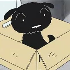 1560780 邹先生و 
