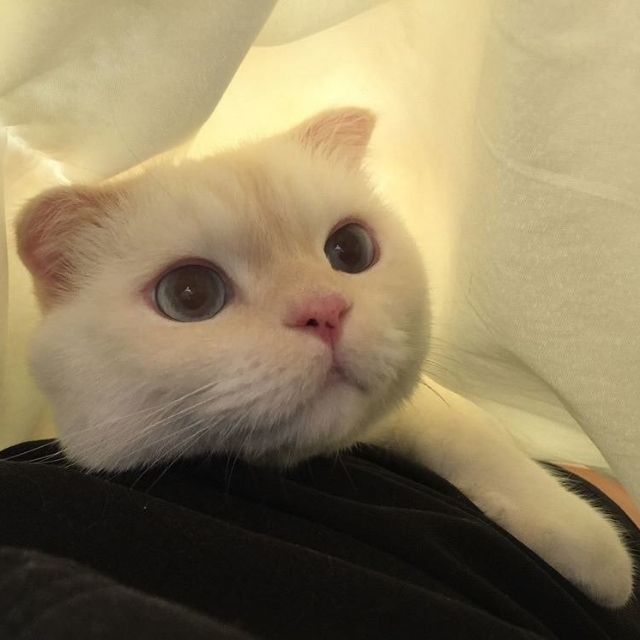 1561373 猛龙过江