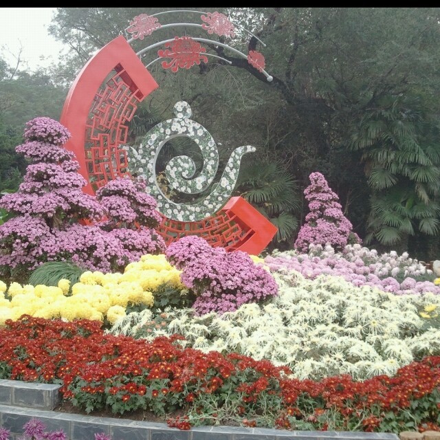 1561417 无影无踪