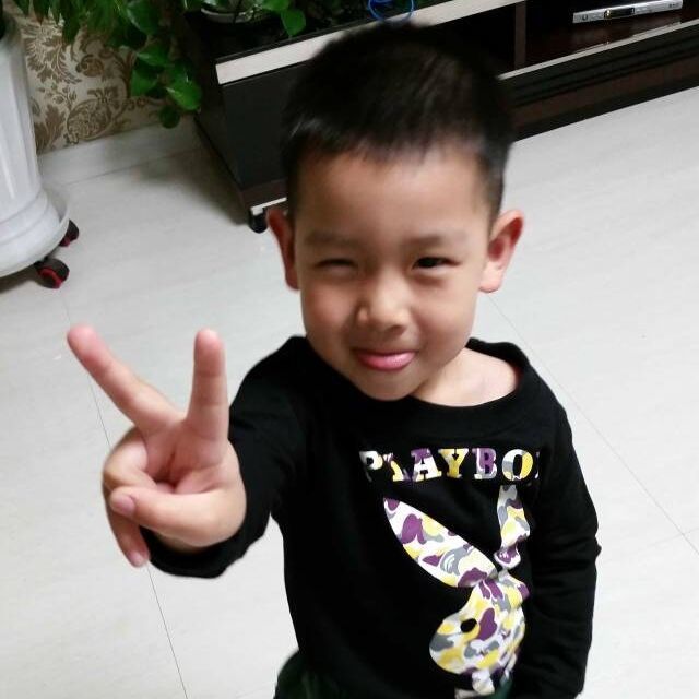 1562585 ～DPX～