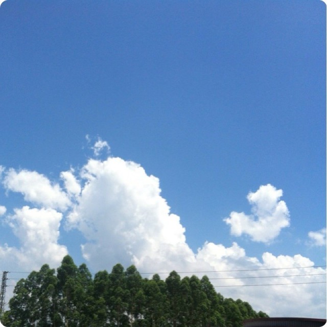 1564336 阿边个