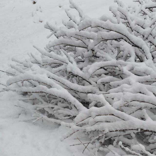 1564631 南极村雪人