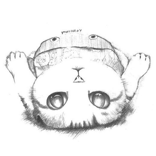 1564645 Xavier