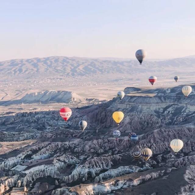 1565250 午夜阳光