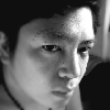 1565256 Cookie/sun